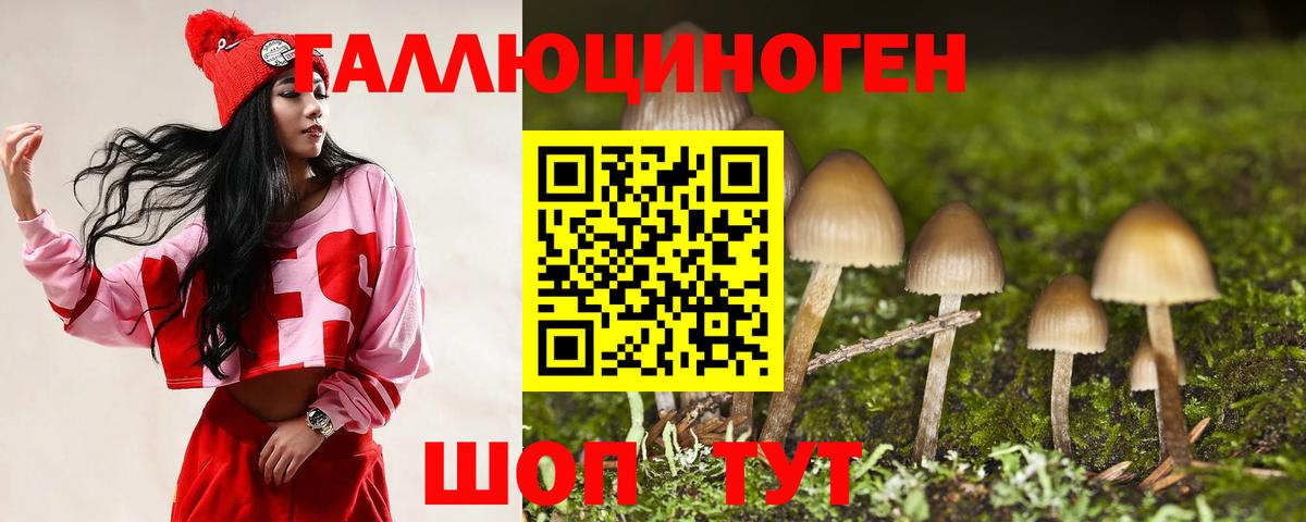 Галлюциногенные грибы мухоморы  Галлюциногенные грибы MAGIC MUSHROOMS  Вход с VPN  даркнет сайт  Торжок 